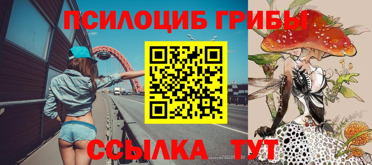 Гуково  Галлюциногенные грибы Psilocybine cubensis  Вход с VPN 
